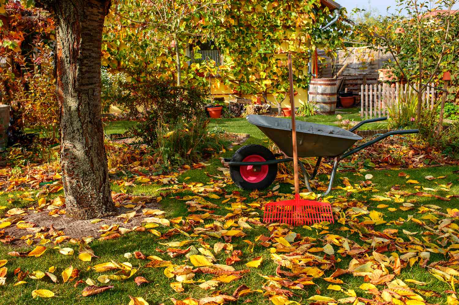 Why ‘My Guy Lawn Care’ Is the Talk of the Town in MN